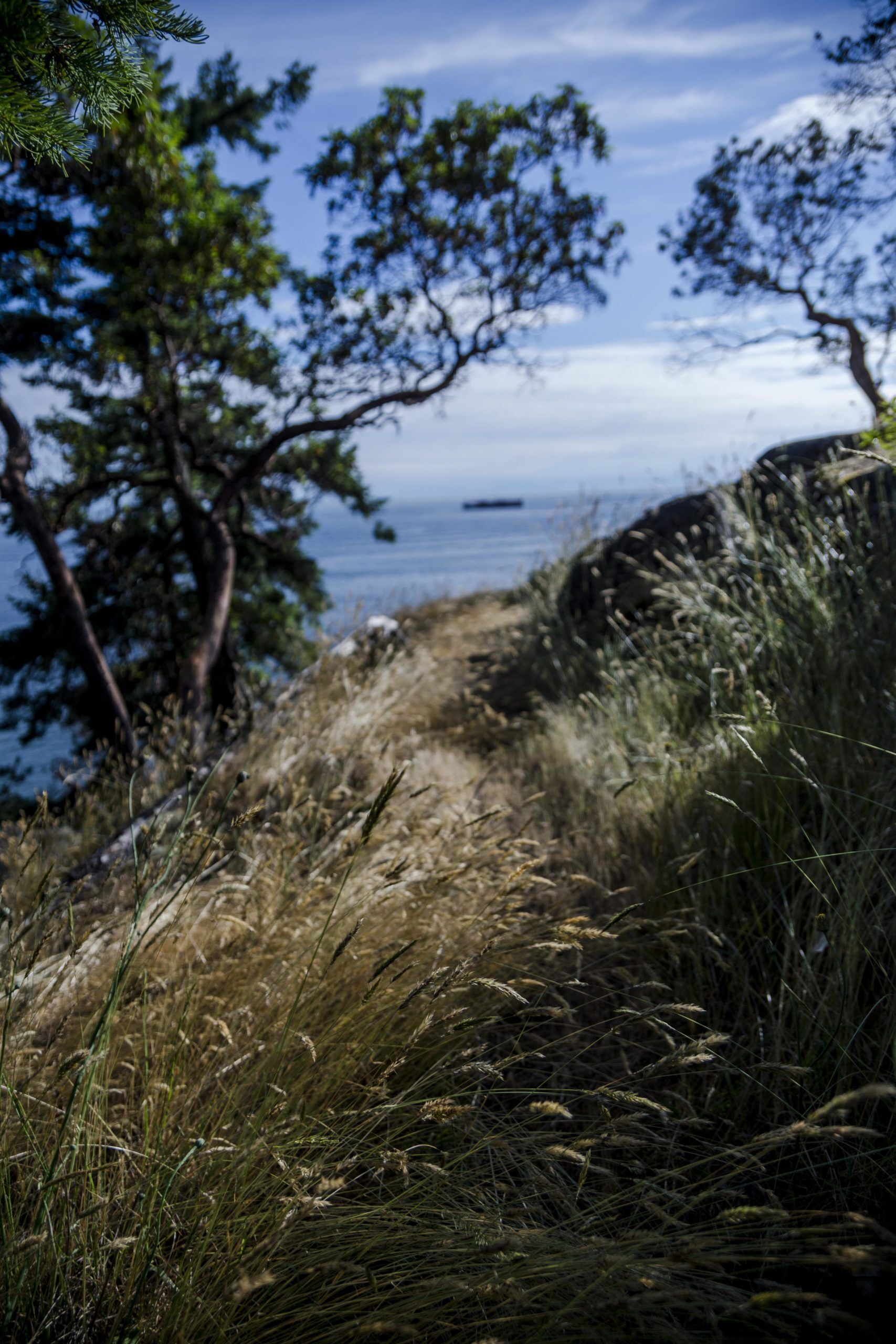 Trail in Light House Park Vancouver BC Canada