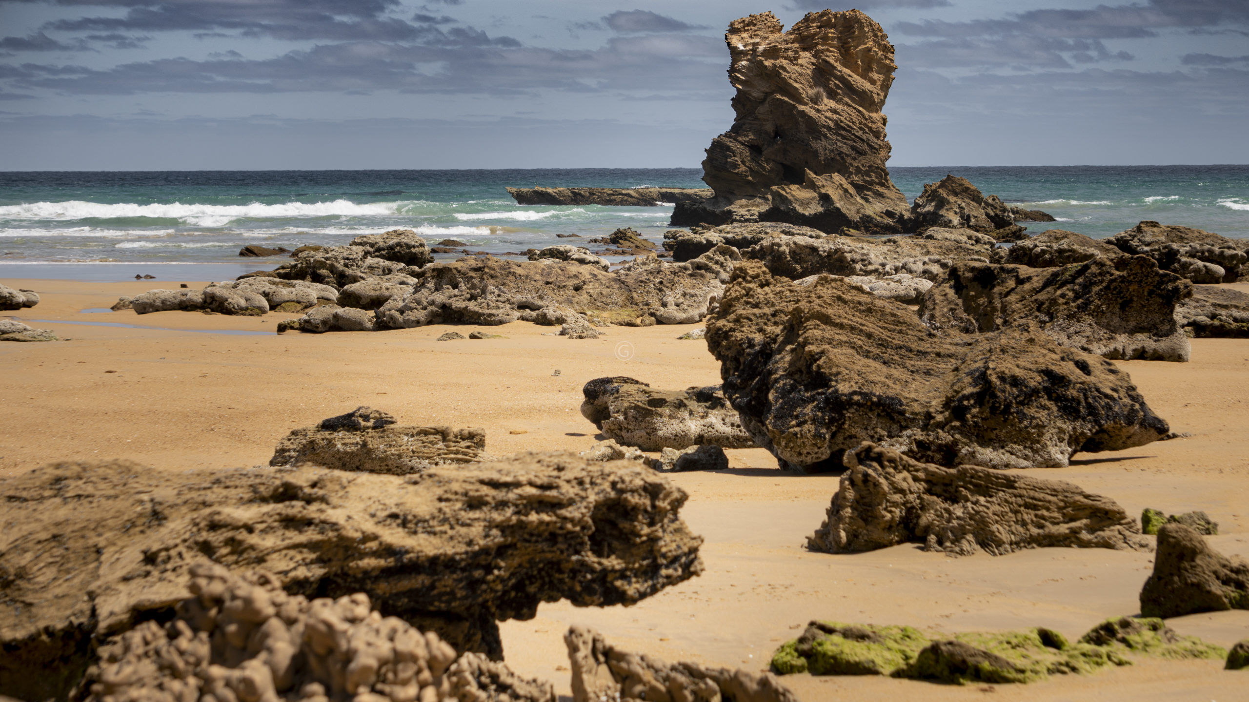 Cotters Beach in Wilsons Promontory National Park in Victoria, Australia