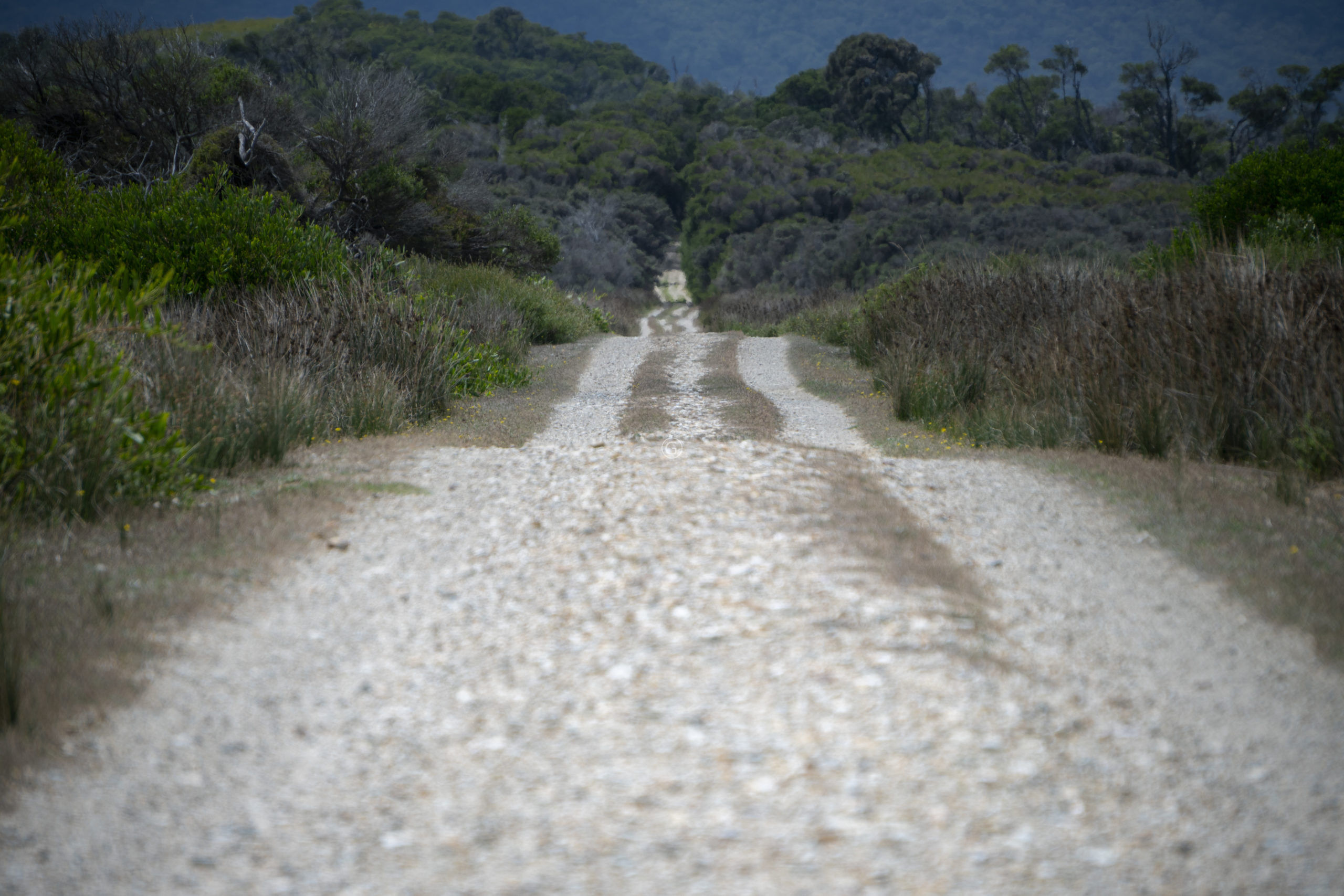 Road to Cotters Beach Wilsons Promontory National Park Victoria Australia