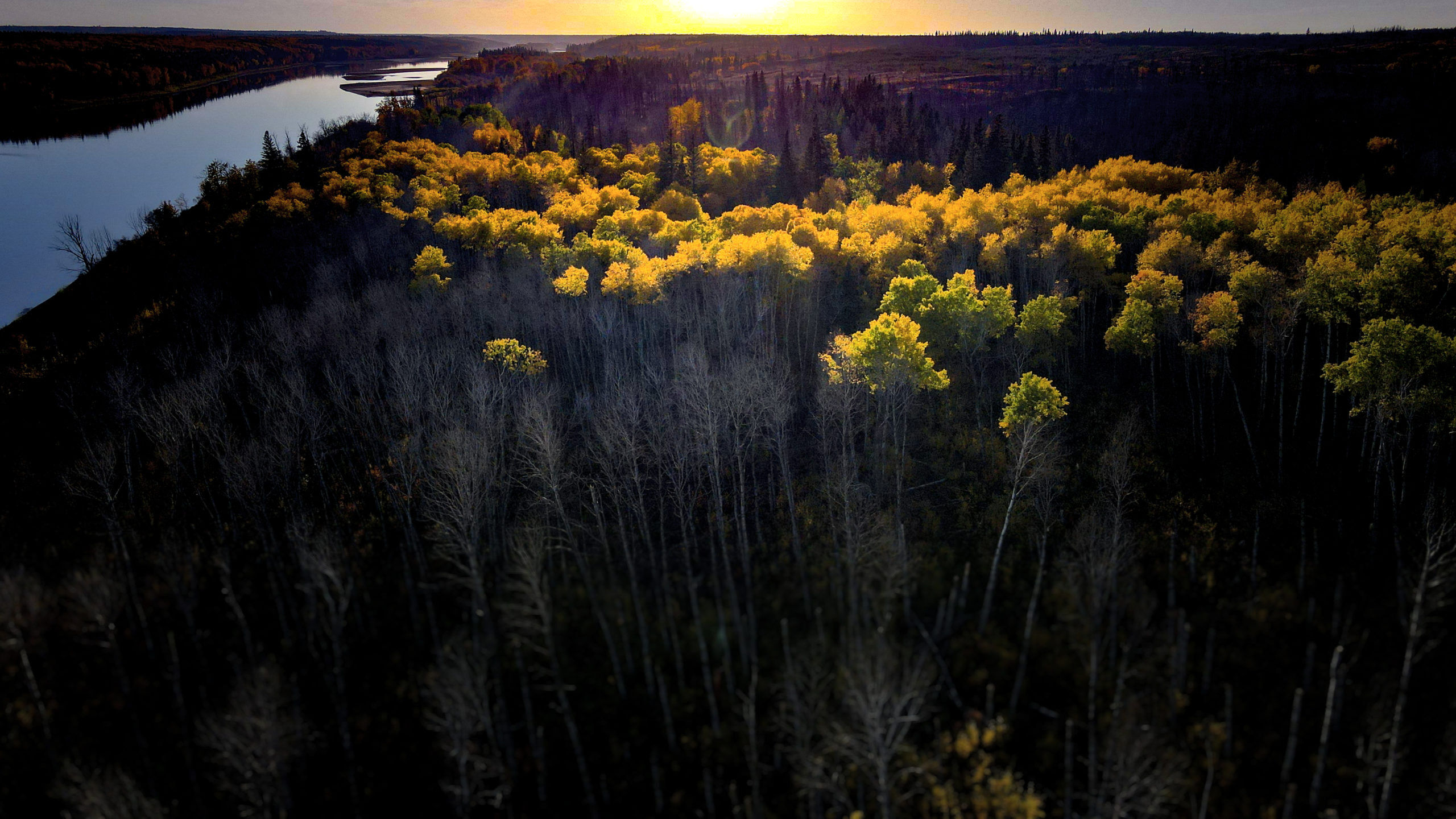 Sunset over a Fall Forest